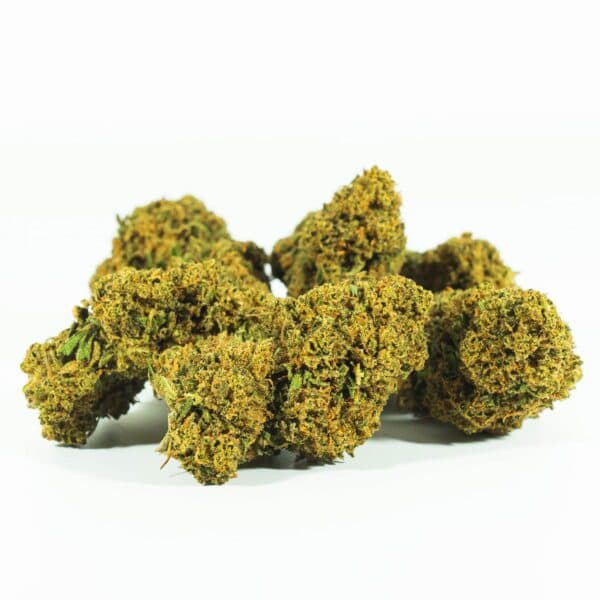 Cañamo Cbd Gelato 33 - 1 gr. Only Cbd