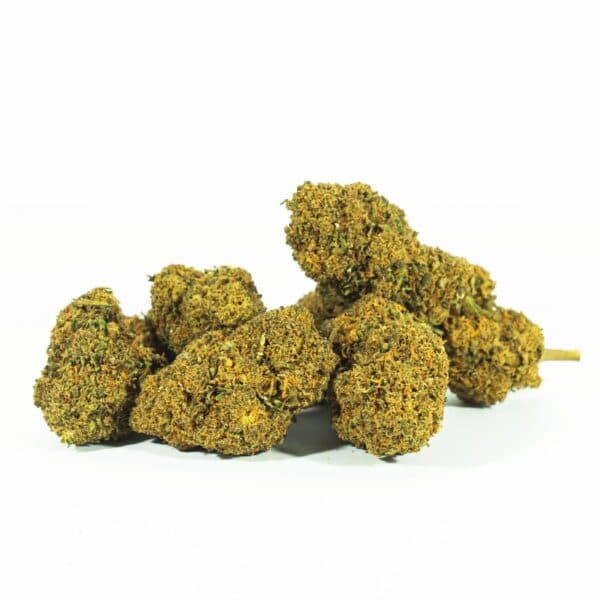 Cañamo Cbd Mango Haze 1 gr. Only Cbd