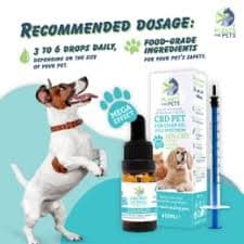 CBD Oil Plant of Life Remedy Pet 10% - 1% CBG 10 ml.